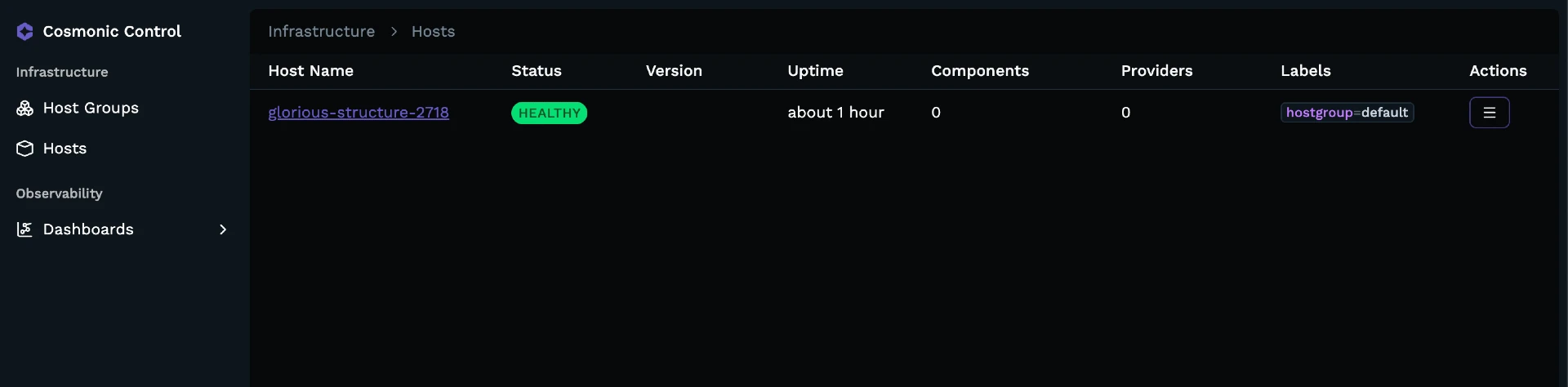 Host view